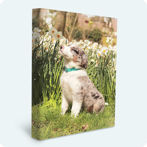 stampa su tela deluxe